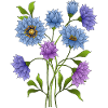 Blumen