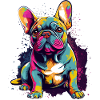 Fransk Bulldog Hund Frenchie