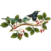 Bunter Vogel