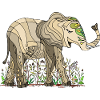 Elefant
