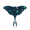 Cosmic Moth