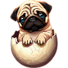 Cucciolo di carlino in uovo - Cute Dog Design