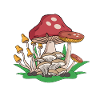 Chasse aux champignons
