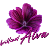 Alva Birthday Alva