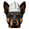 Dog Owner German Shepherd Puppy
