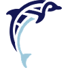 Celtic Dolphin Logo