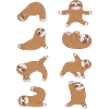 Yoga Sloth