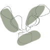 CACTUS LINEART