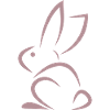 pink rabbit
