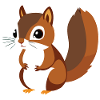 Squirrel
