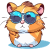 Koki the hamster