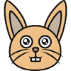 Cute rabbit