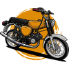 S51 (yellow) // Illustration