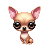 Playful Chihuahua