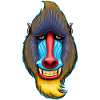 Mandrill Design