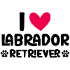 I love Labrador Retriever