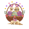 Labrador Easter