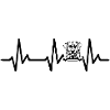 Labrador heartbeat