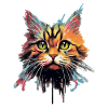 Chat