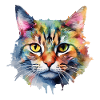 Chat