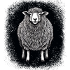 flock of sheep buy cartoon sheep bday geek