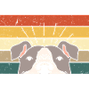 Dog - Funny Dog