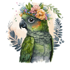 Sød Conure papegøje fugl blomst krone kæledyr fugle