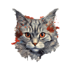 Chat