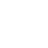 Original 100% Lisa