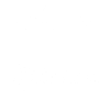 Original 100% Leonard