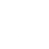 Original 100% Lion
