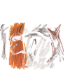 Ardeche chauvet 1