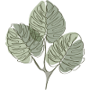 MONSTERA LINE-ART