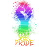 gay pride,pride,rainbow,LGBT