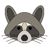 Raccoon