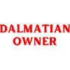 Dalmatian Dog Dog Owner