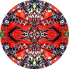 Nature Mandala Underwater Feather Star