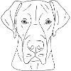 Deutsche Dogge