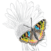 Fleur avec papillon, papillon
