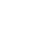 Vegan Elephant