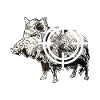 Jäger Wildschwein Jagen
