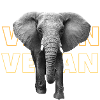 Éléphant végétalien