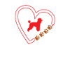Hundezubehör Pudel Hundebesitzer