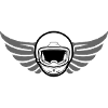 Motocross motorcycle helmet with wings