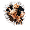 Chihuahua | Ballerina | Ballet | Dance | Dancing |