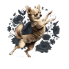 Chihuahua | Ballerina | Ballet | Dance | Dancing |