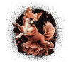 Chihuahua | Ballerina | Ballet | Dance | Dancing |