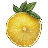 Lemonslice