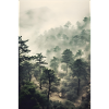 Wald Nebel