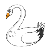 Cygne